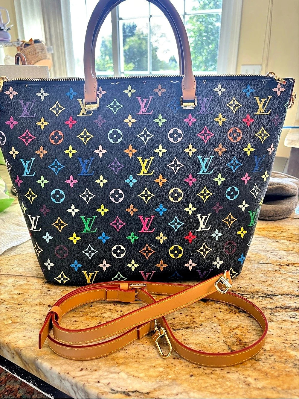 Multipass Tote Multicolor Canvas NWT